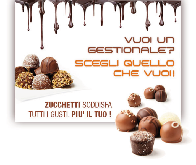 img_partner zucchetti1